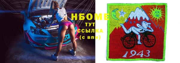 ПСИЛОЦИБИНОВЫЕ ГРИБЫ Козловка