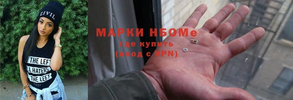 ПСИЛОЦИБИНОВЫЕ ГРИБЫ Козловка
