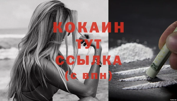 ПСИЛОЦИБИНОВЫЕ ГРИБЫ Козловка