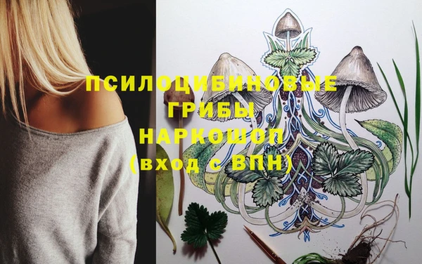 мескалин Новокубанск