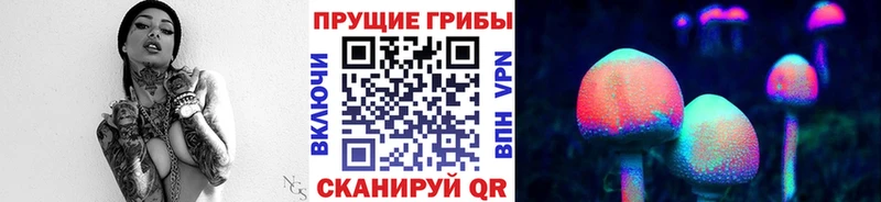 что такое наркотик  дарк нет какой сайт  Галлюциногенные грибы Psilocybe  Чекалин 